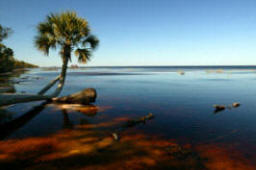 Lake George, Ocala National Forest