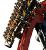 Sheikra, Busch Gardens